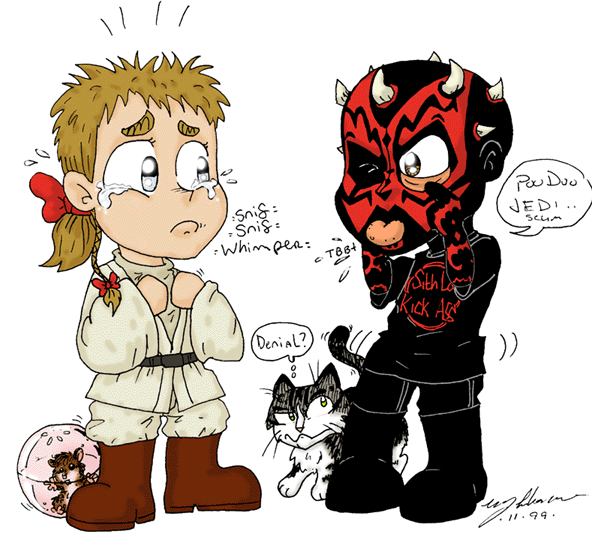 Star Wars Fan